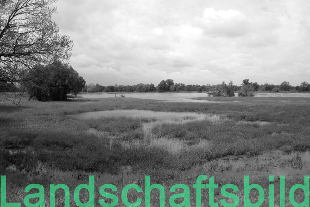 Beispielbilder